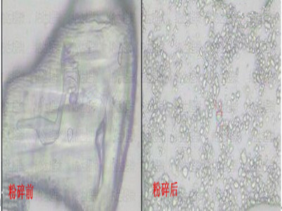 硫酸普拉睾酮钠原料微纳米粉碎加工