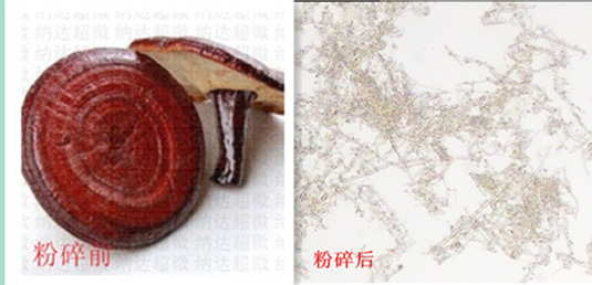 灵芝微纳米粉碎破壁
