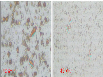 富马酸亚铁微纳米粉碎加工